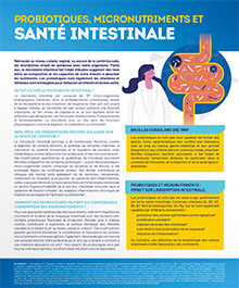 Probiotiques, micronutriments et santé intestinale