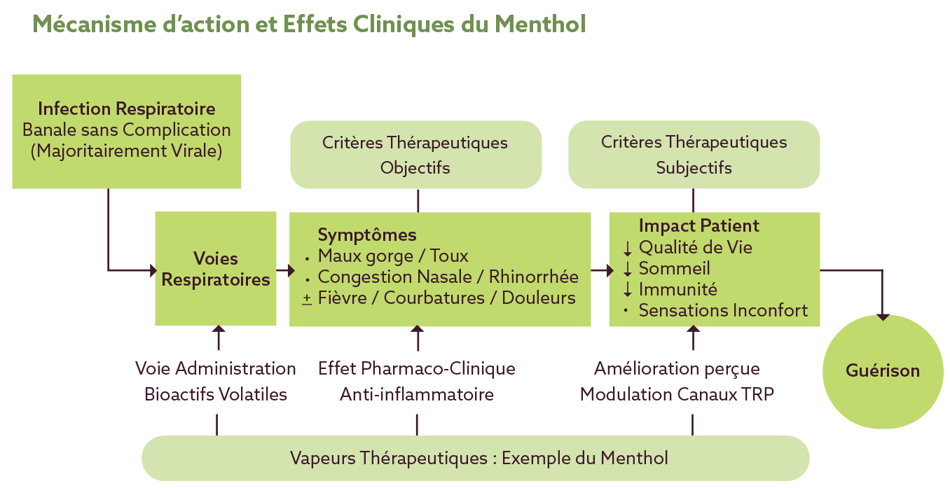 Mécanisme d’action et Effets Cliniques du Menthol