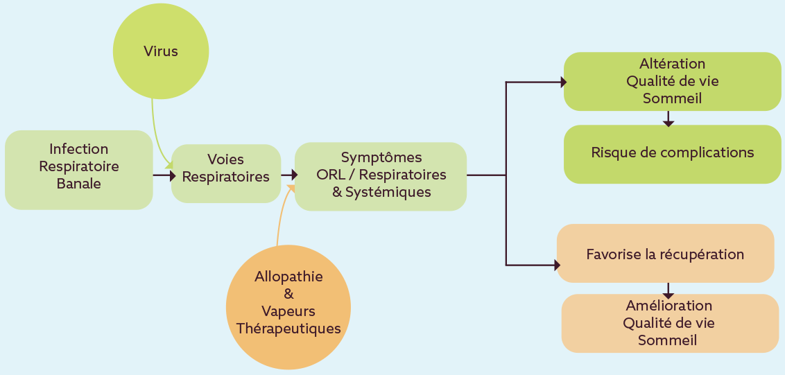 Bénéfices des vapeurs thérapeutiques dans le protocole de traitement des infections respiratoires banales