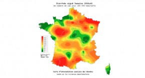 Gastroentérite : activité en hausse