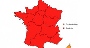 Grippe : toute la métropole dans le rouge