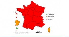 Grippe : épidémie partout en métropole, exceptée en Corse