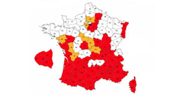 Moustique tigre : début de la saison de surveillance renforcée