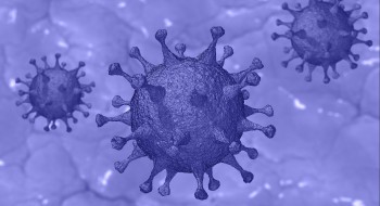 Covid-19 : le test salivaire, bientôt un nouveau moyen de dépistage ?