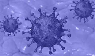 Covid-19 : un virus moins virulent ?