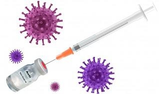 Vaccin Comirnaty contre le Covid-19 : les points essentiels