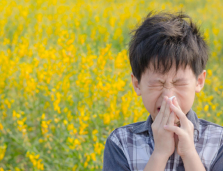 Allergie : arrêtons de nous pourrir la vie !