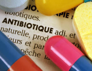 Consommation d’antibiotiques : comment mieux la maîtriser ?