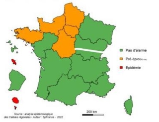 Grippe saisonnière : indicateurs en hausse