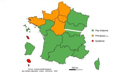 Grippe saisonnière : indicateurs en hausse