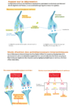 © MPL-3458pharmacodepressioncorrect-1copie