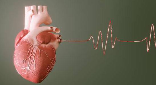 Peptides natriurétiques : dans une analyse de sang, quel est l’intérêt de les doser ?