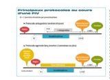 © MPL-infographieprotocole