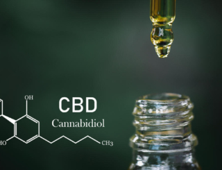 CBD : quelle consommation en France ?