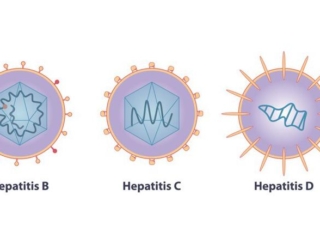 Hépatites : quels traitements ?