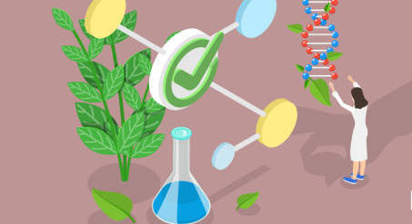 Biosimilaires : s’achemine-t-on vers une substitution générale ?