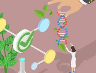 Biosimilaires : état du marché avant un possible droit de substitution