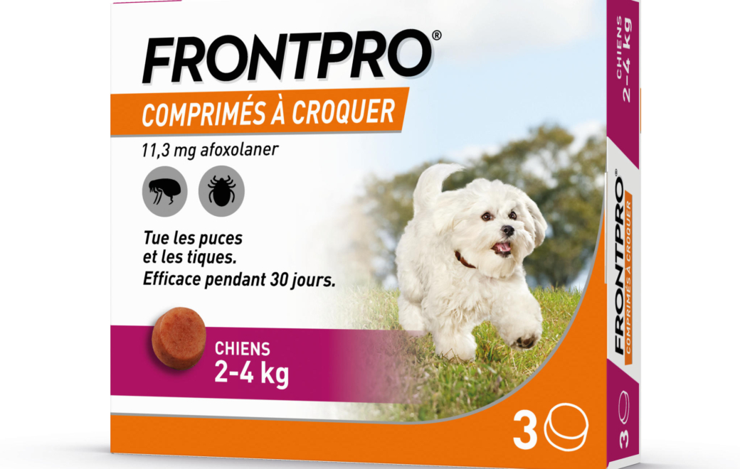 Frontpro : antiparasitaire canin par voie orale