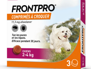 Frontpro : antiparasitaire canin par voie orale