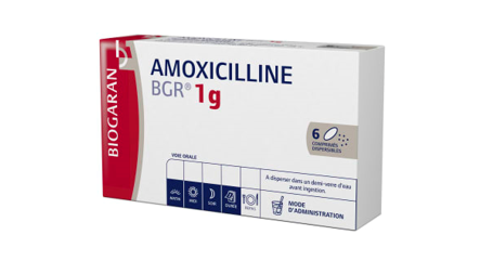 Amoxicilline : le retour des TFR