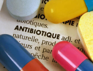 Pour prévenir les pénuries, amoxicilline et amoxicilline/acide clavulanique seront uniquement distribuées par les grossistes-répartiteurs