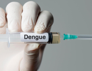 Dengue : le point sur les vaccins