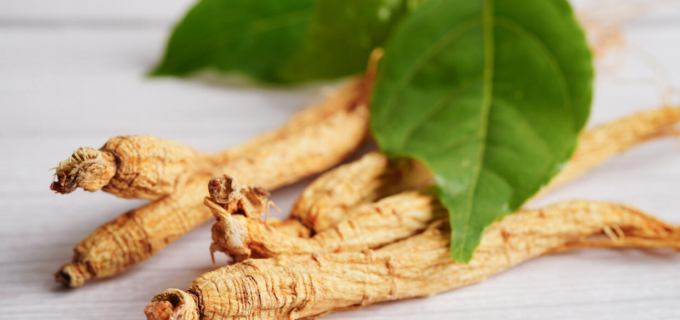 Anti-fatigue, immunostimulant… pourquoi conseiller le ginseng dès l’automne