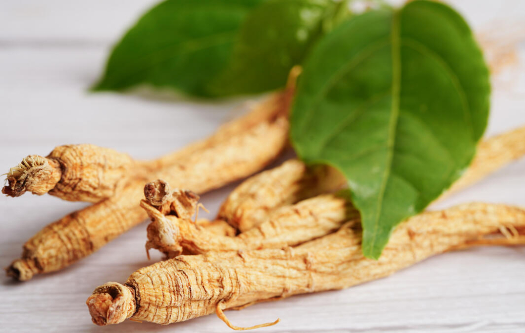 Anti-fatigue, immunostimulant… pourquoi conseiller le ginseng dès l’automne