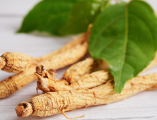 Anti-fatigue, immunostimulant… pourquoi conseiller le ginseng dès l’automne