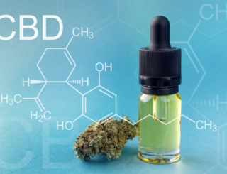 Cannabidiol (CBD) : propriétés et usages